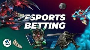 Sports sportsbook dashboard showing live odds for basketball and boxing